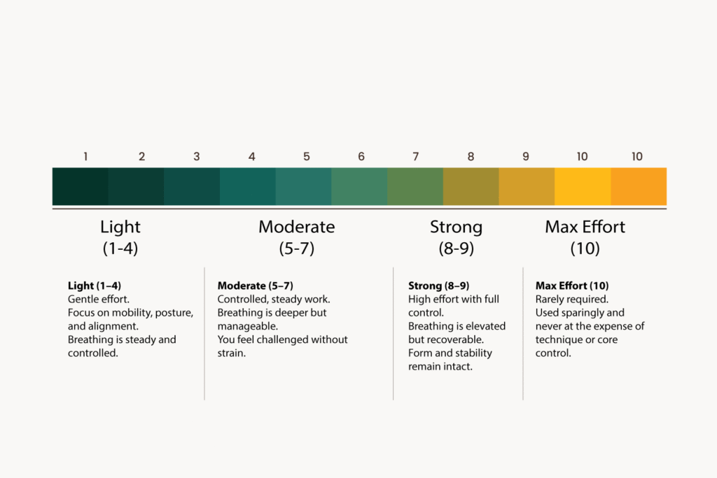 Universal Rpe Members Only Training Guide – Like you mean it.